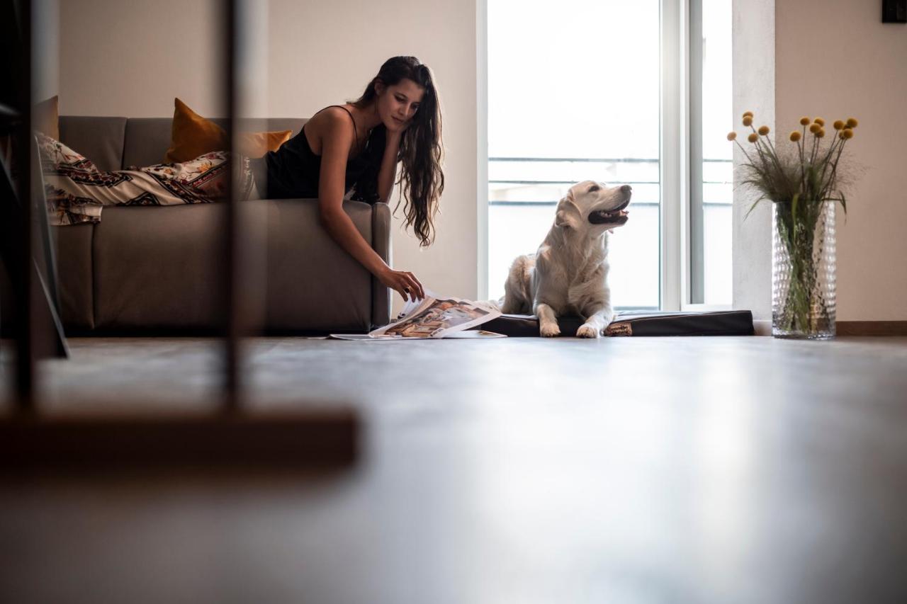 Sambucus Apartments -Premium Apartments For You And Your Dog Lana Εξωτερικό φωτογραφία